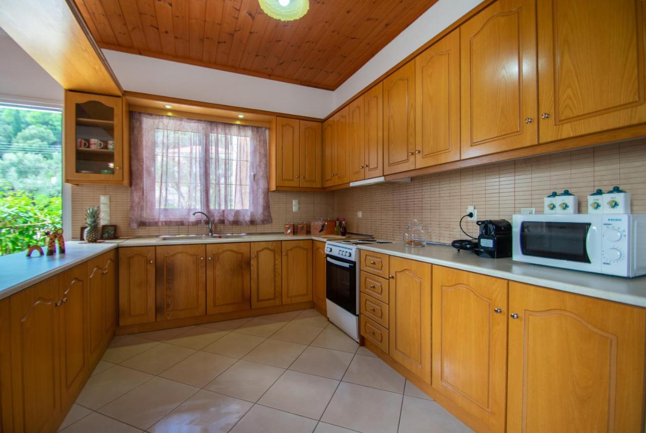 Family Private Homes & Sea View Lithakia  Buitenkant foto